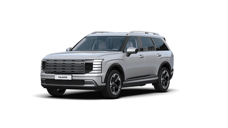 현대 팰리세이드